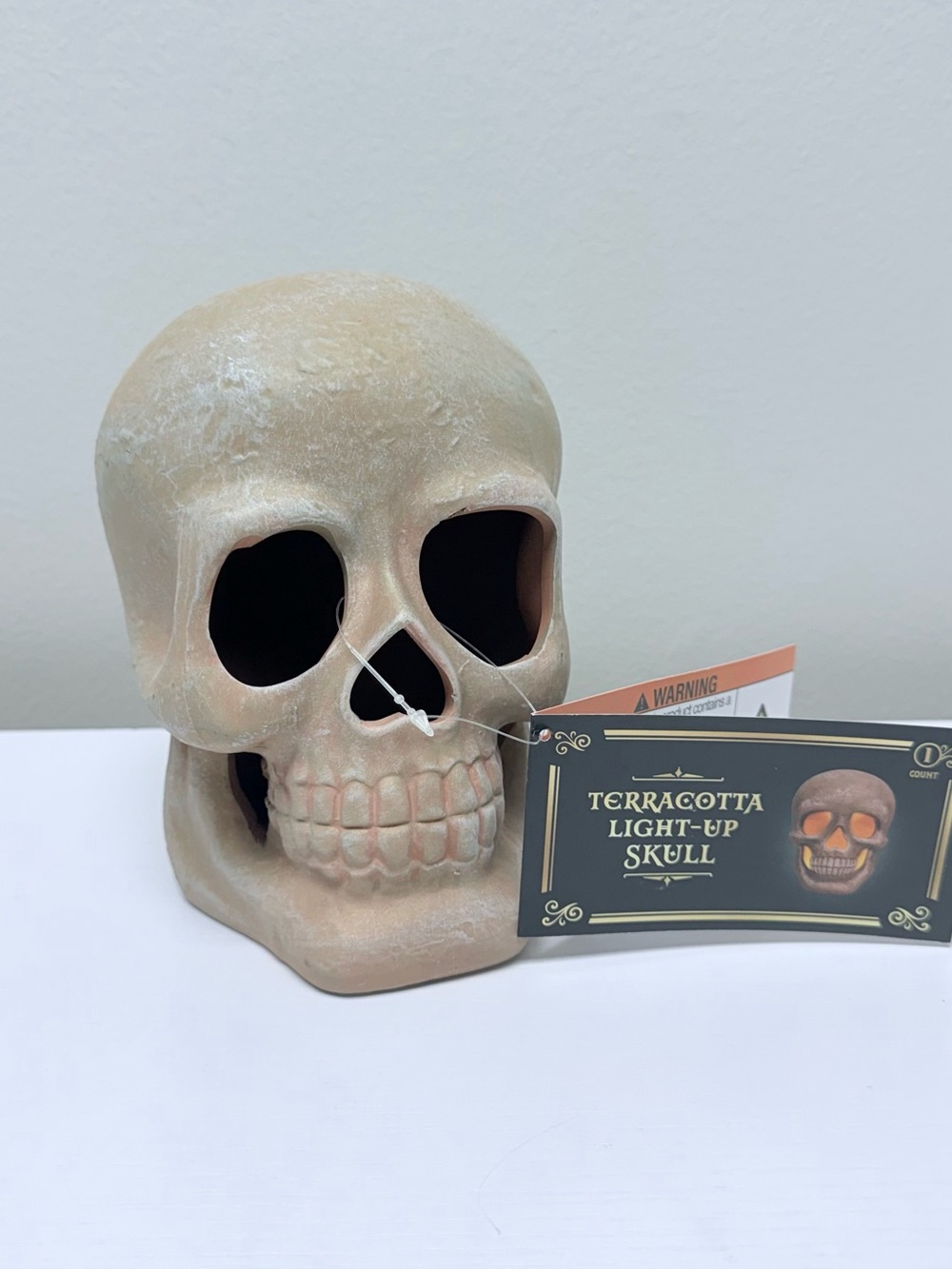 New! Terracotta Light-Up Figural Skull Target Bullseye's Playground™ 2026